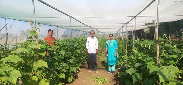 राष्ट्रीय बागवानी मिशन: किसान मनीष मिश्रा ने खीरे की फसल से प्राप्त की 02 लाख रुपये की आमदनी