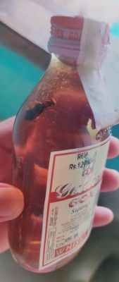 सीलबंद गोल्डन गोवा शराब की शीशी में कॉकरोच जैसा कीड़ा  