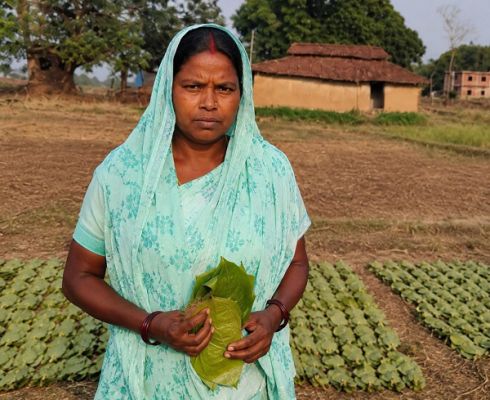  &rsquo;हरे सोने से संवर रही ग्रामीण अर्थव्यवस्था&rsquo;