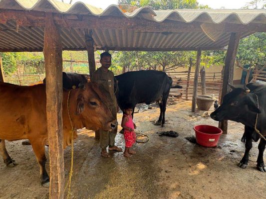 &rsquo;पशुपालन से बदली प्यारेलाल यादव की जिंदगी&rsquo;