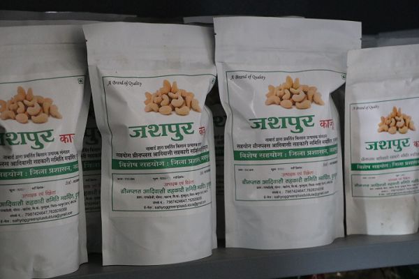 जशपुर का काजू बना किसानों की समृद्धि की नई पहचान