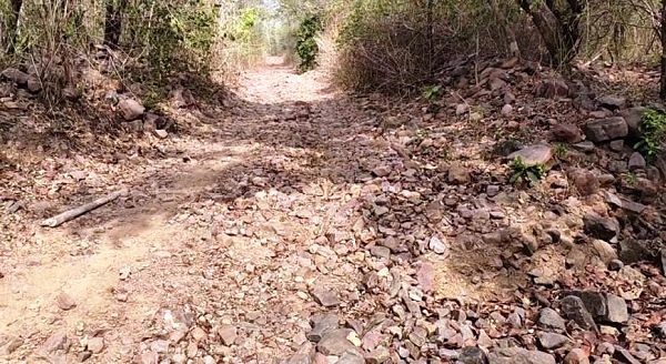 आजादी के 79 साल बाद भी विकास की राह देख रहा कोत्तापल्ली