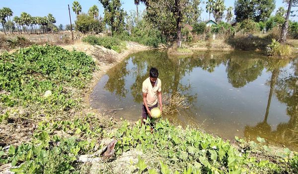 डबरी से समृद्धि : मत्स्य पालन और सब्जी उत्पादन से आत्मनिर्भर बने किसान वासम अब्बैया