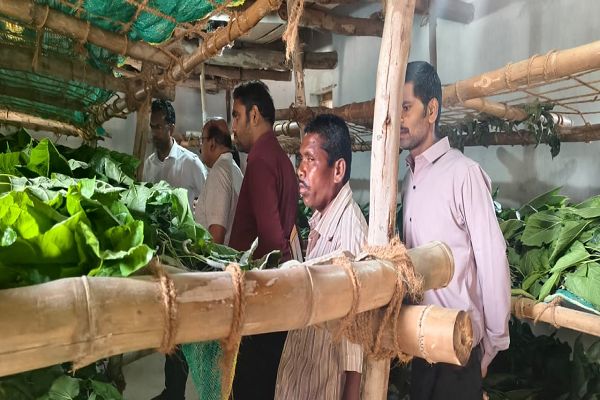  बस्तर संभाग में रेशम विकास कार्यों की समीक्षा