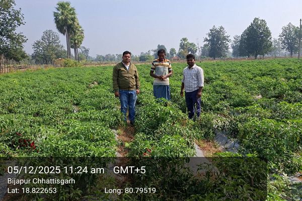 शेडनेट हाउस ने बदली किसान की तकदीर