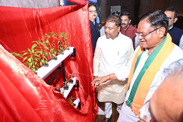 विशेष लेख : हाइड्रोपोनिक्स तकनीक : खेती का नया और स्मार्ट विकल्प