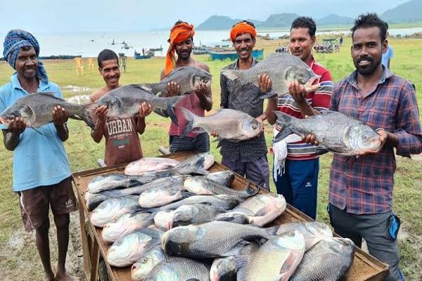 &lsquo;नीली क्रांति&rsquo; से समृद्धि की ओर: मछली पालन बना ग्रामीण विकास, रोजगार और आत्मनिर्भरता का नया आधार  