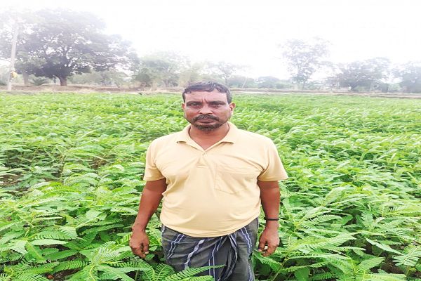 फसल विविधीकरण को मिलेगा बढ़ावा