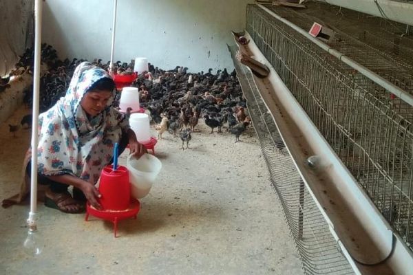  ​सफलता की नई उड़ान : पारंपरिक मजबूरी से 'लखपति दीदी' बनने तक का सफर