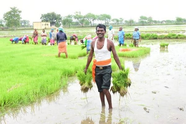 गौरेला पेन्ड्रा मरवाही जिले ने हासिल किया पीएम किसान सम्मान निधि योजना का 80 प्रतिशत लक्ष्य