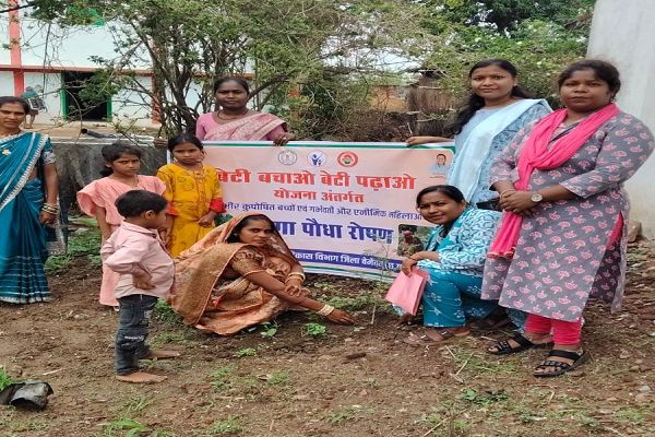 कुपोषण मुक्त छत्तीसगढ़ की दिशा में अनूठी पहल : मुनगा पौधारोपण से घर-घर पहुंचेगा पोषण का संदेश