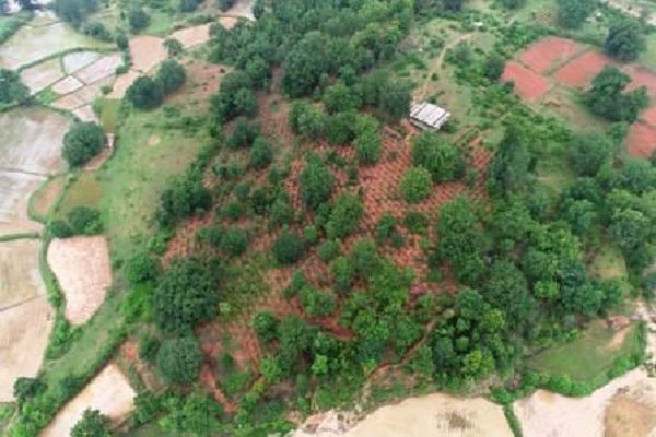 वर्षा जल संरक्षण की अनूठी पहल : मोर गांव, मोर पानी अभियान से घोघर बना प्रेरणादायी मॉडल