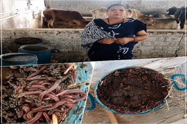 जैविक खेती अपनाकर लागत में लाई कमी, कृषि विभाग के मार्गदर्शन से आत्मनिर्भर बनीं एरिन भगत
