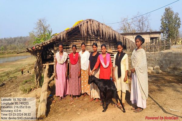 रायपुर : बकरी पालन बना आत्मनिर्भरता का आधार