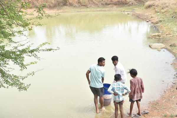 रायपुर : जल संरक्षण से बदला जीवन: धमतरी के भोथापारा में आजीविका डबरी बनी आर्थिक स्वावलंबन का नया आधार