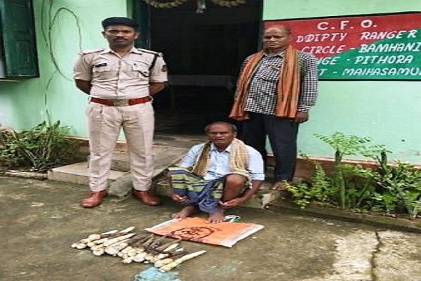 वन विभाग की कार्रवाई : करील तोड़ने के मामले में आरोपी के विरुद्ध प्रकरण दर्ज
