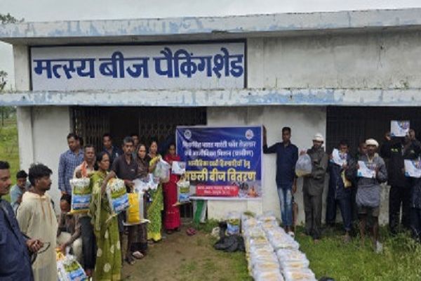आजीविका डबरी और नवा तरिया से ग्रामीण अर्थव्यवस्था को मिल रहा नया आधार