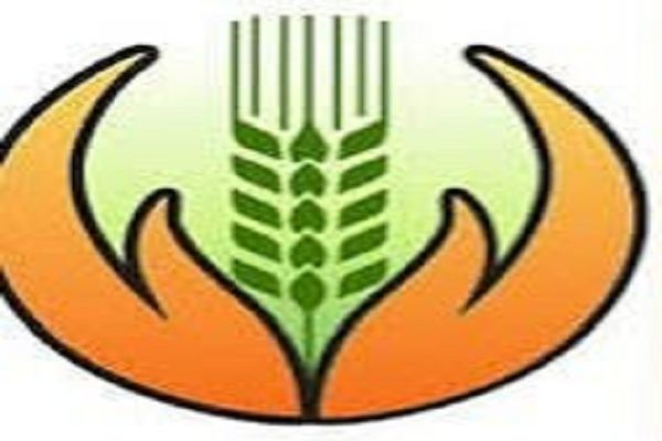 प्रधानमंत्री फसल बीमा योजना से किसानों का बढ़ा भरोसा, धमतरी में इस वर्ष लगभग 81000 किसानों ने कराया फसल बीमा