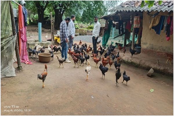 बचत से कारोबार तक, मुर्गी पालन से मंजू मड़े ने गढ़ी आत्मनिर्भरता की कहानी