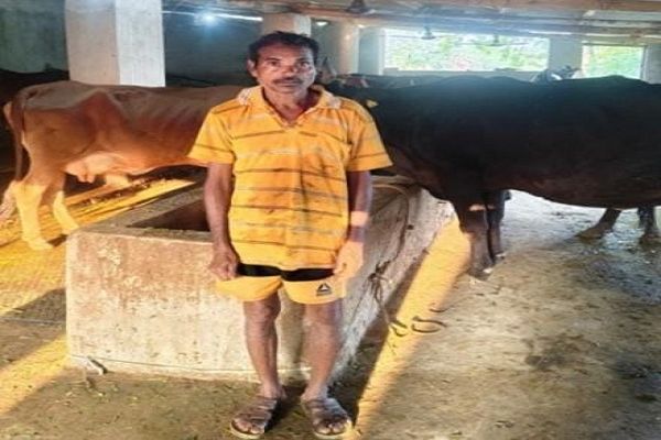 देशी गायों से शुरू हुआ सफर, आज उन्नत पशुपालन से सालाना 10 लाख से अधिक की आय