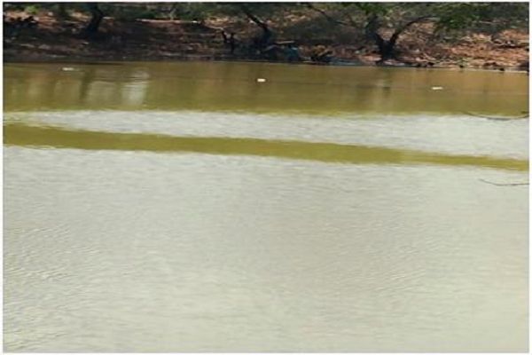 सेवा संकल्प से आत्मनिर्भरता की राह पर बरदिया के आदिवासी मछुआरे, मत्स्य पालन से आय में उल्लेखनीय वृद्धि