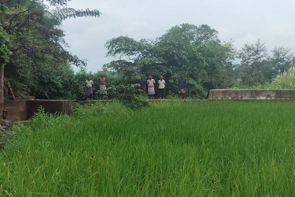 सेवा की कहानी : स्टॉपडेम से खुशहाल हुए आदिवासी परिवार