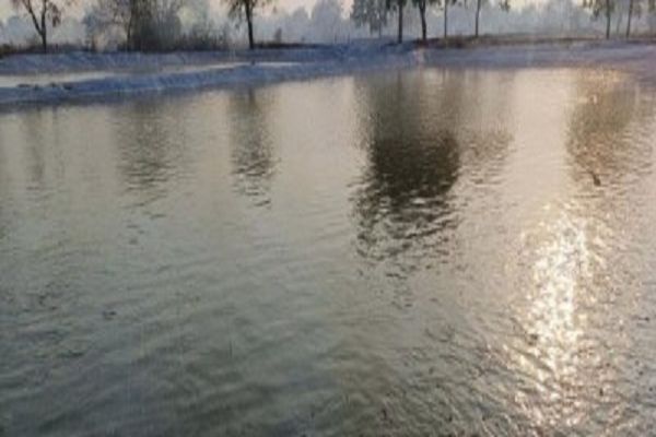 सेवा की कहानी - प्रधानमंत्री मत्स्य संपदा योजना से मत्स्य पालन को मिला रहा बढ़ावा