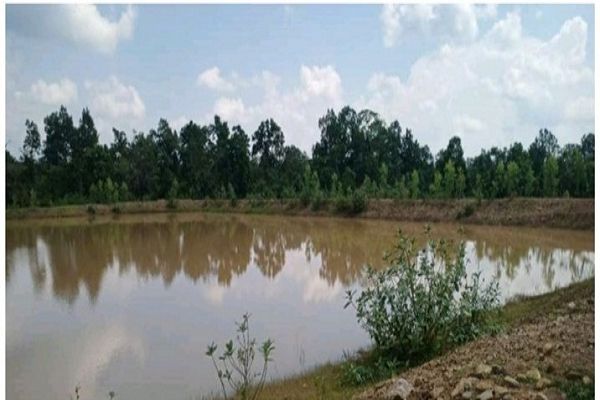 बस्तर के वनकोमार में &lsquo;अमृत सरोवर&rsquo; ने बदली तस्वीर