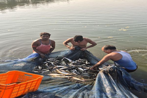 सेवा- संकल्प- अभियान : मत्स्य पालन से संवरी गांधीराम की ज़िंदगी