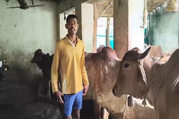 दो गायों से शुरू हुई उम्मीद, पांच गायों ने संवारी मिनेश की जिंदगी