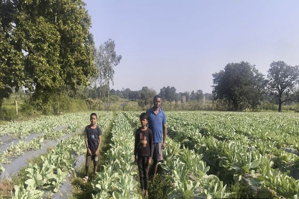 सेवा की कहानी : फूलगोभी की उन्नत खेती से प्रमोद सिंह को मिला 1.50 लाख रूपए का लाभ