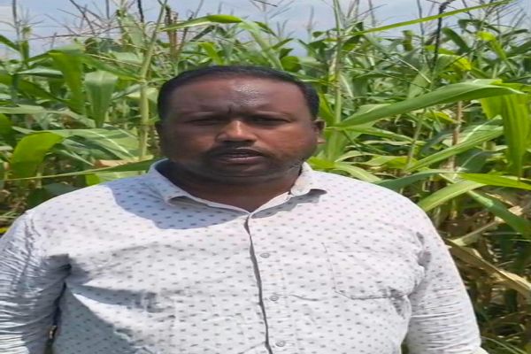 सेवा की कहानी : कृषक उन्नति योजना से प्रगतिशील किसान बने श्यामदेव गुप्ता