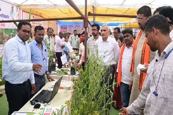 सेवा संकल्प अभियान के तहत ग्राम दुल्ला में सेवा सेतु शिविर का हुआ आयोजन