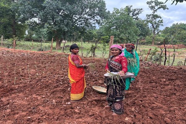 लेमन ग्रास की खुशबू से महक रही आत्मनिर्भरता, जीपीएम की महिलाएं बढ़ रहीं &lsquo;लखपति दीदी&rsquo; बनने की राह पर