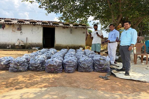 सेवा की कहानी : बैंगन की उन्नत खेती से किसान हरिहर साय ने बढ़ाई आमदनी