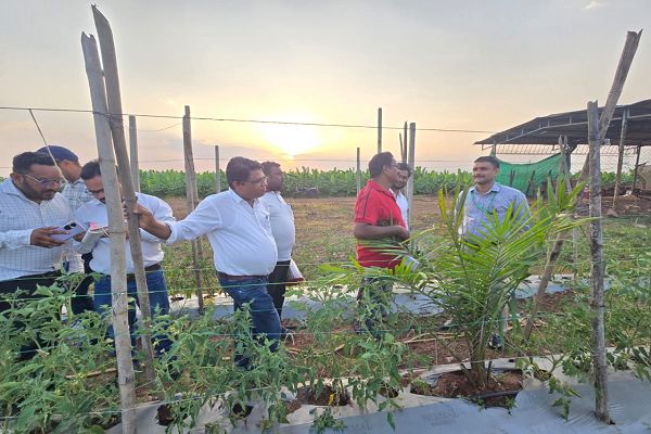 छत्तीसगढ़ में ऑयल पाम की खेती का कमिश्नर श्री कृष्ण कांत दुबे ने किया अवलोकन