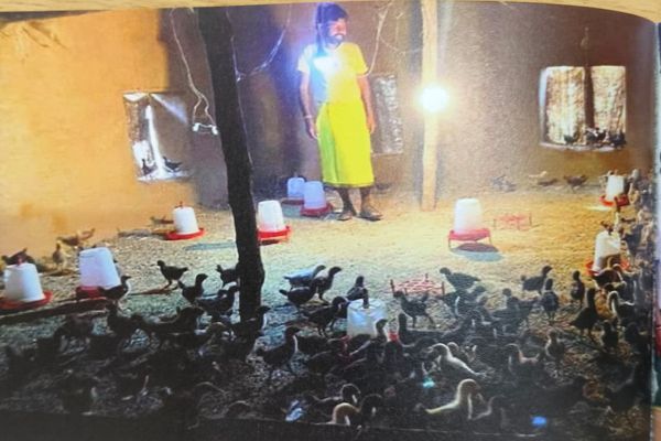 सेवा की कहानी&rsquo; : &rsquo;मुर्गी-बकरी पालन से मजबूत हुई शिवकुमार की आमदनी, हर माह कमा रहे 10-15 हजार रुपये&rsquo;