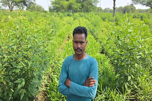 सेवा संकल्प अभियान-2026: सेवा की कहानी : धान की पारंपरिक खेती से आगे बढ़े किसान मुकंदर सिंह, अदरक और अरहर की खेती से आजीविका संवारने की नई पहल