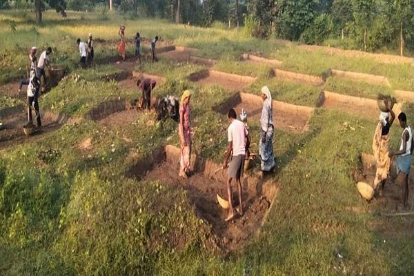 सेवा संकल्प अभियान : धमतरी में वीबी-जी रामजी योजना से बदलेगी ग्रामीण आजीविका की तस्वीर
