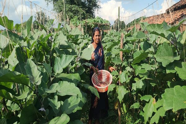  सेवा की कहानी : &rsquo;मेहनत और बिहान के सहयोग से आत्मनिर्भरता की नई कहानी लिख रहीं श्रीमती जयकुंवर&rsquo;