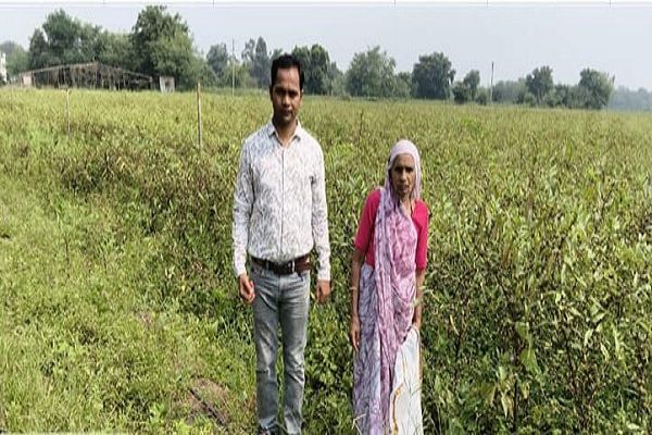 परंपरागत कृषि छोड़ बीज उत्पादक बने किसान,आय में 75 प्रतिशत का हुआ इजाफा