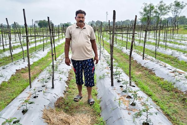 किसान ललित पटेल साल भर सब्जियों के उत्पादन से कर रहे बेहतर आमदनी