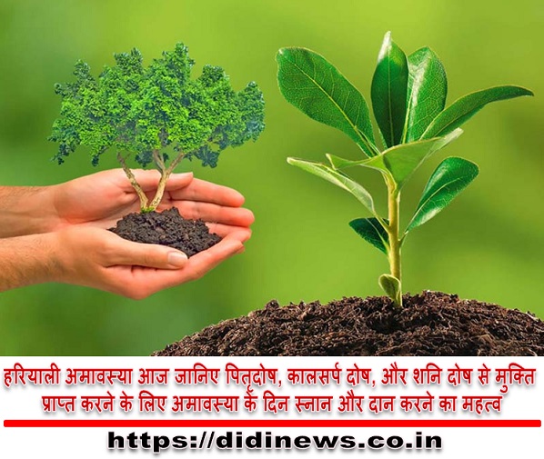 हरियाली अमावस्या आज जानिए पितृदोष, कालसर्प दोष, और शनि दोष से मुक्ति प्राप्त करने के लिए अमावस्या के दिन स्नान और दान करने का महत्व