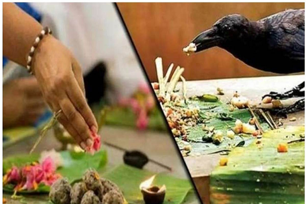 Surya Rashi Parivartan: 13 साल बाद विशेष संयोग, पहले श्राद्ध से लेकर सर्वपितृ अमावस्या तक कन्या राशि में रहेंगे सूर्य देव