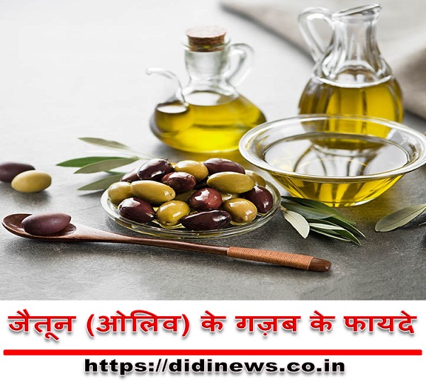 ओलिव, पिज्जा की टॉपिंग का एक मुख्य तत्व, स्वास्थ्य के लिए बहुत लाभदायक है