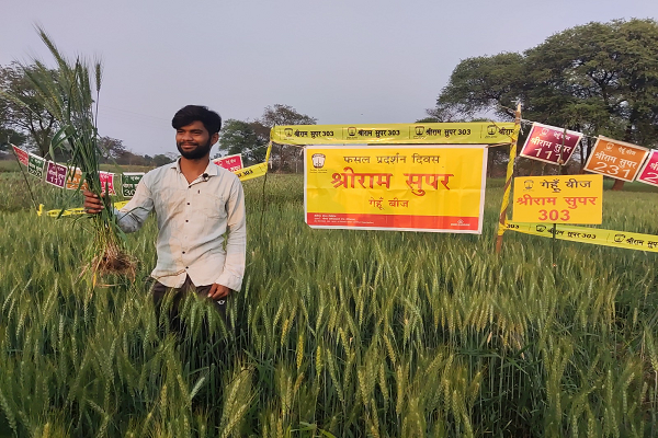 बदलते मौसम में भी श्रीराम सुपर 1 एसआर 14 और 303 गेहूं बीज से मिल रहे किसानों को सबसे बेहतर परिणाम