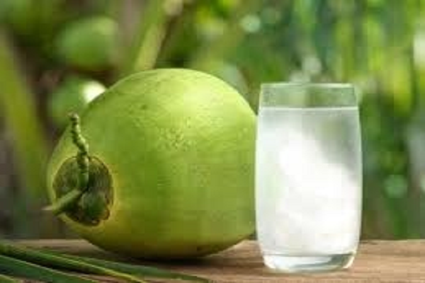 किन लोगों को नहीं पीना चाहिए नारियल का पानी?