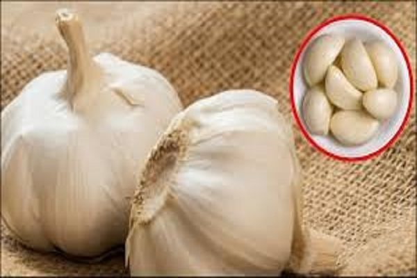 यूरिक एसिड के मरीजों के लिए फायदेमंद है लहुसन का सेवन