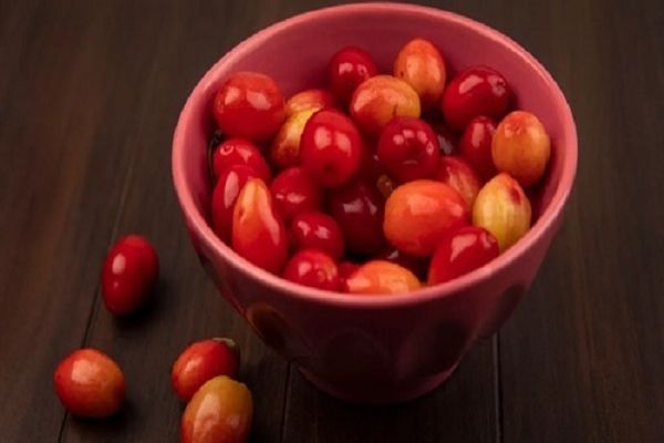 करौंदा से मिल सकते हैं ये 5 कमाल के फायदे