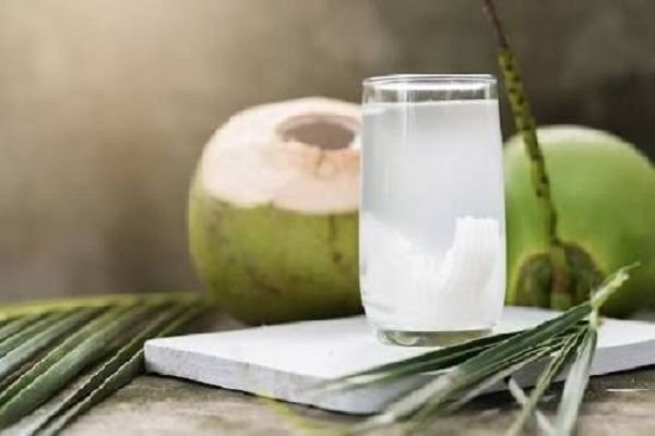  पथरी पिघलाने में मददगार है नारियल पानी